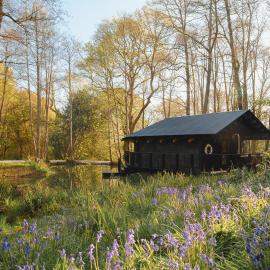 Yogi's Cabin