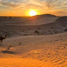 Sahara wild camping, khách sạn ở Mhamid