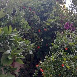 Welcome Home, hotel in Beni Mellal