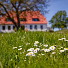 Gutshaus Ketelshagen, hotel em Putbus