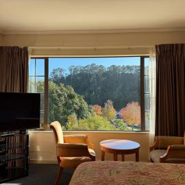 Albany Rosedale Motel, hotel ad Auckland