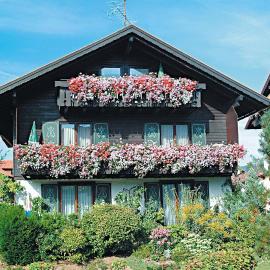 Ferienhaus Heim