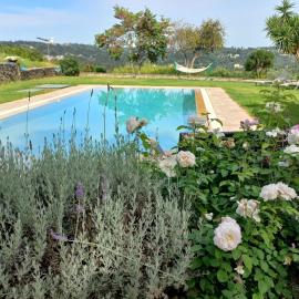 Corfu Green Escape