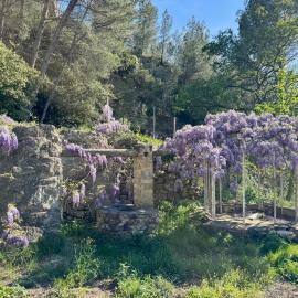 Maison en campagne, hotel in Salon-de-Provence