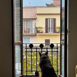 Appartamento centrale in stile
