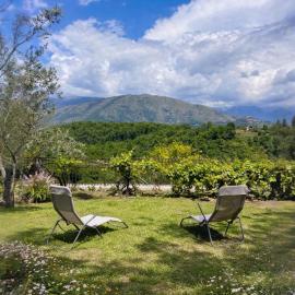 Belvedere da Fernanda, hotel Fontechiariban