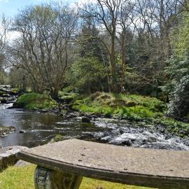Waterwheel