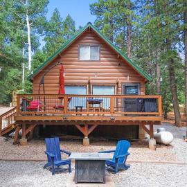 Cabin in Duck Creek Village