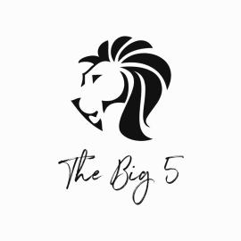 The Big 5 - Rhino, Hotel in Four Ways