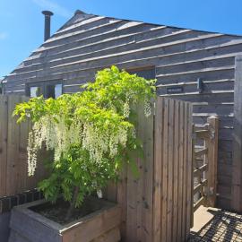 Milk Shed, hotel in Chard