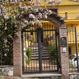 Villa Orchidea, hotel a Praia a Mare