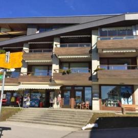 Apartment Casa Margherita mit Traumaussicht by Interhome, Hotel in Rigi Kaltbad