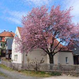 Hirschhäusl, отель в городе Гросшёнау