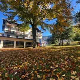 Hotel alle Rose Family inspired garden and SPA