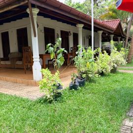 Rio Hotel Habarana