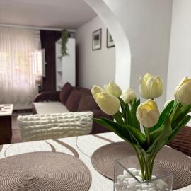 Apartment Gray, hotel u Pirotu