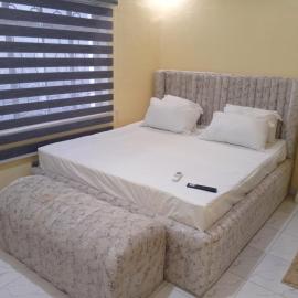 Lovely surulere apartment