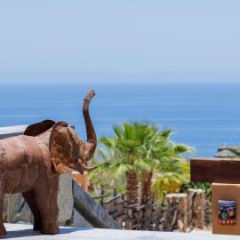 2BR with Stunning Ocean Views, hotel v destinaci Las Palmas