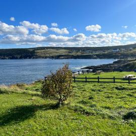 Home From Away - Year Round Oceanview Home Pouch Cove NFLD, hotel din Pouch Cove