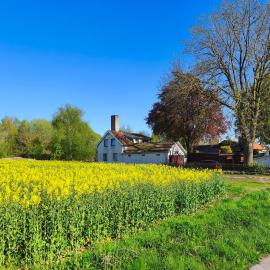 Lugnt gästhus nära hav, natur och vandring, hotel in Glumslöv