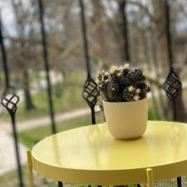 Apartment in the park - Sandanski