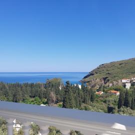Dimitra's Apartments 4 klm away from Chora