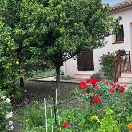 Villa rose