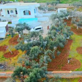 Villa Konaki
