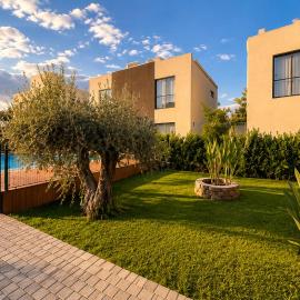 Vineyard Olive Inn -Pool & Wine Route Experience