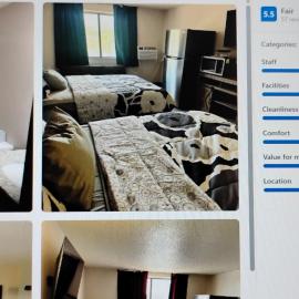 The suite