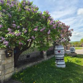 Weinbleibe Weingut Beyer