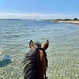 Familienzeit Natur Hof Fehmarn