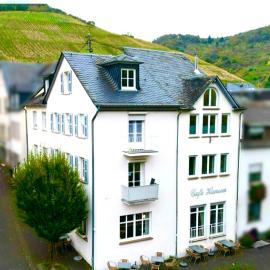 FeWo Unikat, hotel in Zeltingen-Rachtig