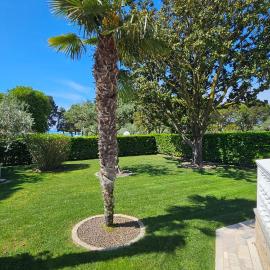 Seafront house Novigrad, Villa Mare Oliva, Istria, hotel in Novigrad Istria