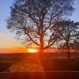 Bow Hill Farm Lodges - Adults Only
