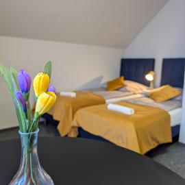 wczasypustkowo, hotel di Pustkowo