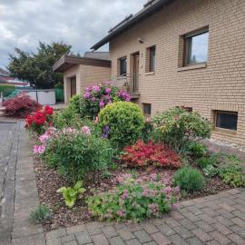 Ferienwohnung Am Wald、バート・マリエンベルクのホテル