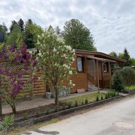 Ferienhaus Waldgeflüster