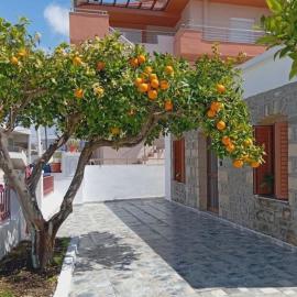Orange Tree House Apolakkia Rhodes