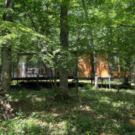 Nina's winery forest house in Kiketi