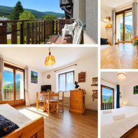Le Dahu - 4 pers - pied des pistes - vue montagne، فندق في ميجو