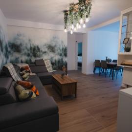 Bucovina Forest Apartment
