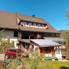 Gemütliche Gartenwohnung in Bernau, hotel u gradu 'Bernau im Schwarzwald'