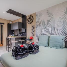 La Briardine - Jacuzzi - Netflix - Proche Disney, hotel in Crèvecoeur-en Brie