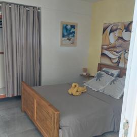 A Ka Roro petit appart cosy T2 - proche CHU, wifi, piscine