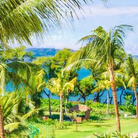 KBM Resorts FREE CAR Honua Kai Hokulani Ocean view 1-Bedroom Condo Stunning views HKH-318 โรงแรมในคานาพาลิ
