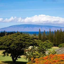 KBM Resorts FREE CAR Kapalua Golf Villa Ocean view 1-Bedroom Condo Recently Remodeled KGV-20T8, Hotel in Kapalua