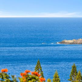 Kapalua Ridge Villas Ocean View 1 BR Cozy Villa Villas Perfect for Golfers Complimentary Car with 6 Nights KRV-1822 by KBM