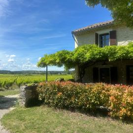 Ecrin au milieu des vignes, hotel in Uchaux