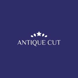 Antiquecut Jewelry, hótel í Sūrat